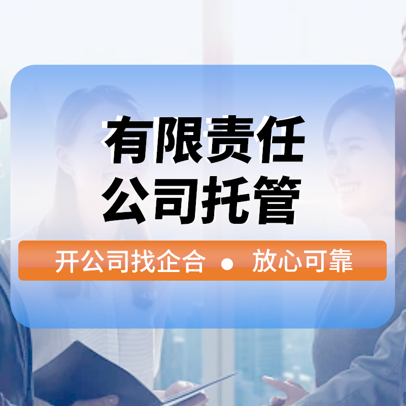 有(yǒu)限責任公司托管